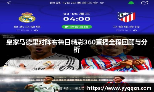 bsports官网入口